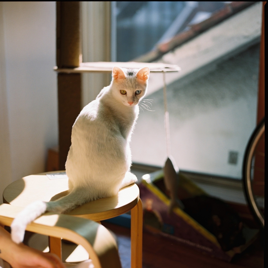 http://www.jnghzn.com/files/gimgs/th-12_000010 (1).jpg